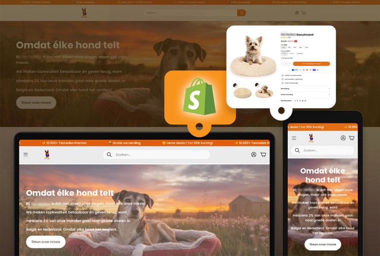 Website development